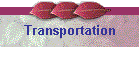 Transportation